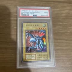 psa9】砦を守る翼竜 初期 スーパーレア - メルカリ