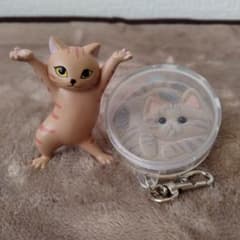 キジトラセットSORANOSUKE 猫クリアチャームとねこのペンおきのサムネイル