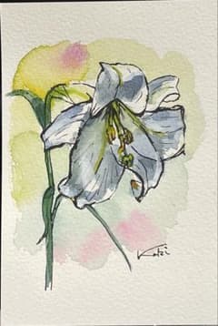 水彩画 花 百合のサムネイル