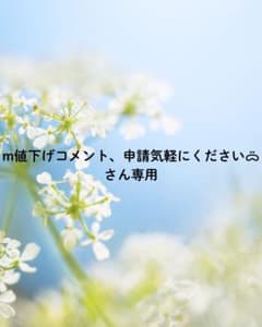 m値下げコメント、申請気軽にくださいᯅ̈さん専用 m値下げコメント、申請気軽にくださいᯅ̈さん専用 - メルカリ
