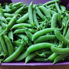 本日朝採り☆タイムセールのサムネイル