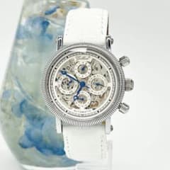 Gallucci ガルーチ 裏スケ スケルトン 自動巻き 腕時計 GALLUCCI ガルーチ スケルトン 両スケ 自動巻き 腕時計 - メルカリ