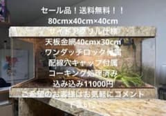 爬虫類ケージ 80×40×40 サイドアクリル 飼育ケージ ケージ 爬虫類