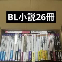 BL小説27冊まとめ売り - メルカリ