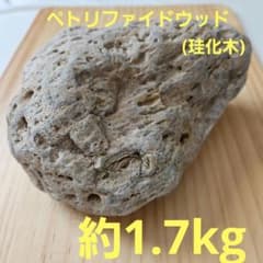 ペトリファイドウッド 珪化木 国産 鉱物 原石 天然石 パワーストーン
