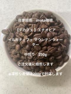 【デカフェ 】エチオピア イルガチェフェ マウンテンウォーター　中煎り　250gのサムネイル