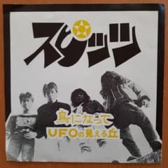 スピッツ『鳥になって/UFOの見える丘』1000枚限定ソノシート スピッツ『鳥になって/UFOの見える丘』1000枚限定ソノシート - メルカリ