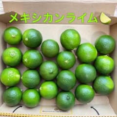 メキシカンライム　国産　ライムのサムネイル