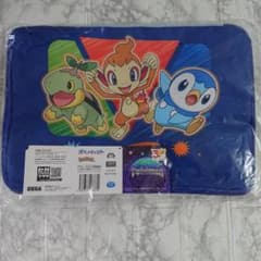 ポケットモンスター プラチナムザッカポケットいっぱいボックス-シンオウ地方-のサムネイル