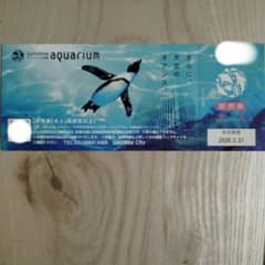 サンシャイン水族館 チケット大人1枚 - メルカリ