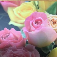 専用です。めるさん ベルメゾンのサムネイル