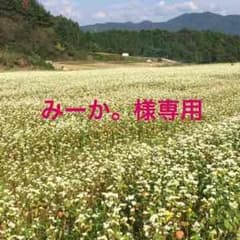 インナー70㎝のサムネイル