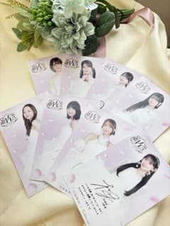 노기자카 기사라즈 포스카 8장 우메자와 고백성 활기 가와사키 세토구치 오카모토 이토 츠츠이