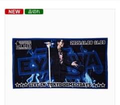 矢沢永吉 ドーム限定品 SBT トランポ ポージング！2dayチケット 新聞