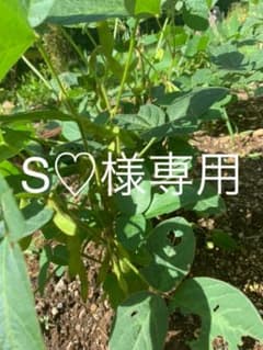 S♡様のサムネイル