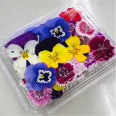 無農薬エディブルフラワー20輪ミックスのサムネイル