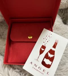 ANGEL Champagne ミラー ケース付きのサムネイル