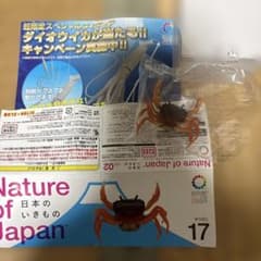 Nature of Japan 日本のいきもの vol.02 サワガニのサムネイル