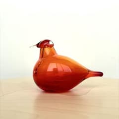 イッタラ バード リトルターン LittleTern オイバトイッカ レアカラー