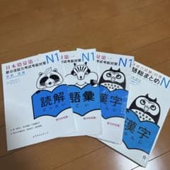 日本語総まとめN1漢字増補改訂版（全部）のサムネイル