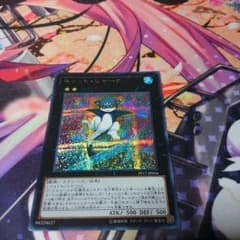 キャットシャーク  シクレのサムネイル