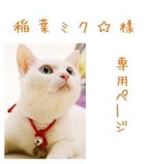 稲葉ミク☆ 様 専用( ´͈ ᵕ `͈ )のサムネイル