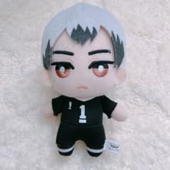 ハイキュー北信介ともぬいのサムネイル