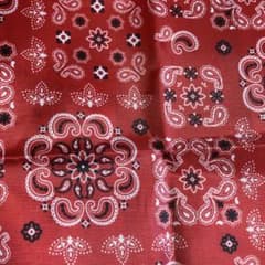 ぐぅ様専用画面のサムネイル