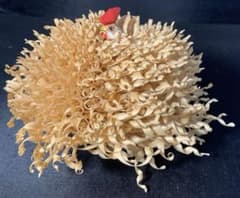 山形米沢市 笹野一刀彫 「鳥の巣篭もり」木製 巣ごもり レトロ 置物 鶏