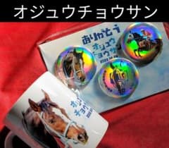 ②◆　競馬　JRA　◆オジュウチョウサン◆引退記念グッズ◆マグカップ　缶バッチ◆ ②◇ 競馬 JRA ◇オジュウチョウサン◇引退記念グッズ◇マグカップ 缶