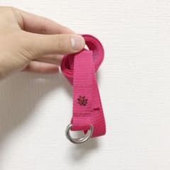ブルーナボイン　ベルトのサムネイル