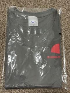 【新品未開封】大田原マラソン2025 Mizuno グレー Tシャツ Mサイズのサムネイル