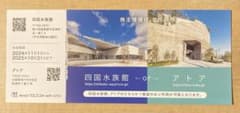 四国水族館 利用券 2024年11月〜2025年10月31 アトアのサムネイル