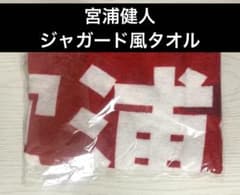 宮浦健人 日本代表 バレーボール ネーションズリーグ2025 ジャガード風タオル