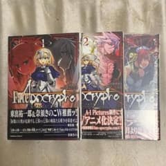 Fate/Apocrypha 3권 [메르카리편]