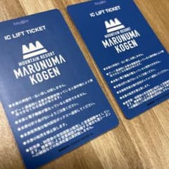 丸沼高原スキー場 1日リフト券 大人2枚セット - メルカリ