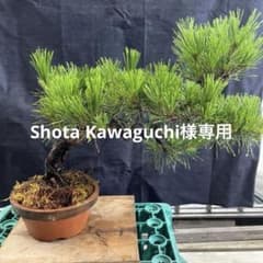 m67158736013_1.jpg?1722122919
