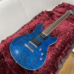FERNANDES APG-55S Blue フェルナンデス　サスティナー 楽天市場】☆ソフトケース付！FERNANDES フェルナンデス APG-55S