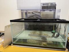 【引取り限定】90cm水槽セットぷう工房上部ろ過 水槽 アクアリウム m67166339516_1.jpg?1786740216