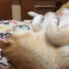 ARALE様専用ページ♡のサムネイル