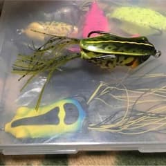 ジャッカル    カエラのサムネイル