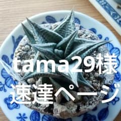 速達ページ☆専用のサムネイル