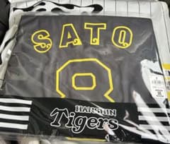 2026 沖縄 宜野座 春季キャンプ 阪神タイガース ユニフォーム 佐藤輝明