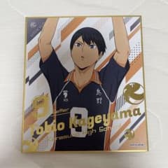 ハイキュー!! 影山飛雄 烏野高校 グッズ色紙のサムネイル