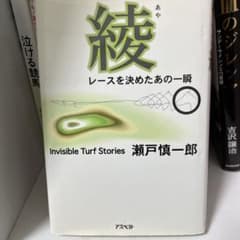 綾 レースを決めたあの一瞬 Invisible turf storiesのサムネイル