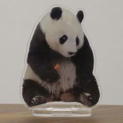 PANDA KENJI スペシャルセット 2026のサムネイル