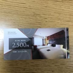ウエルスマネジメント 株主優待券 2,500円分　有効期限2025年2月28日のサムネイル