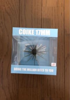 コイケ17mm Coike エビダッピ(ハイドアップ HIDEUP)のサムネイル