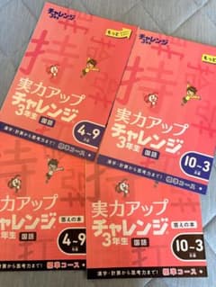 実力アップチャレンジ 3年生 国語 算数のサムネイル