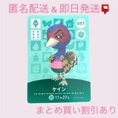 아츠미 돈부츠의 숲 amiibo 카드 케인 정리 판매 할인 아츠모리